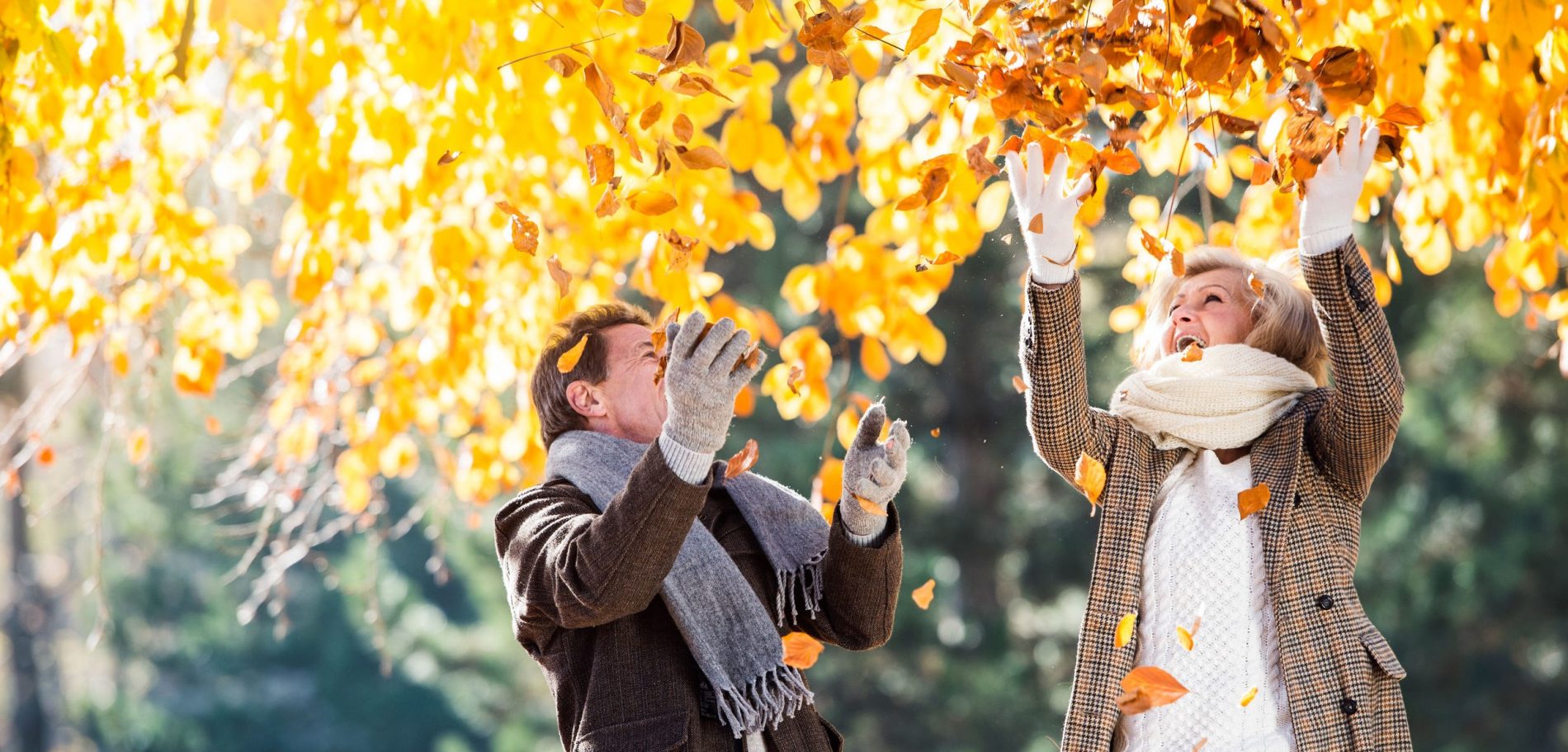 How Is This For Telling Dementia Residents Stories With Power   Autumn Leaves 2 0 